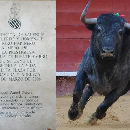 Harinero, Characteristic In The Center Sant'Agata Bolognese