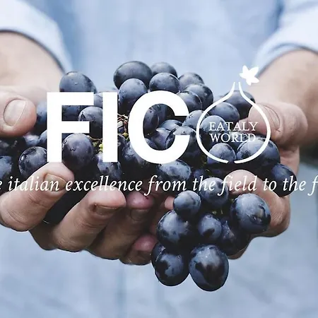 Harinero- Motor Valley - & Private Lejlighed Sant'Agata Bolognese