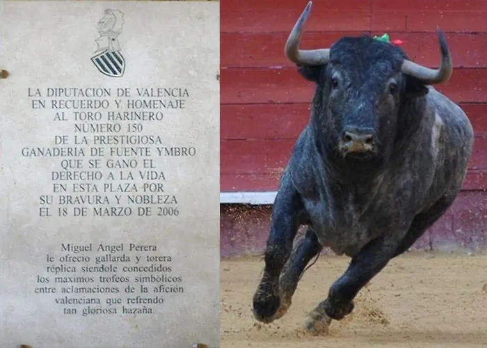 Harinero- Motor Valley - & Private サンターガタ・ボロニェーゼ